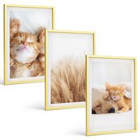BILDER SET 3er Set - 40x60 cm Goldrahmen - Niedliche Tiere, Katzen, Hunde, Boho-Stil - Goldfarben, Kunststoff (40/60cm) - TULUP