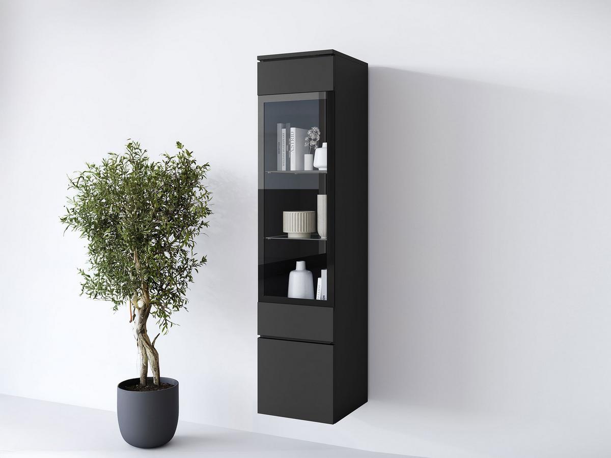 HÄNGEVITRINE Vera 002 mit LED Beleuchtung - Graphitfarben/Alufarben, Holzwerkstoff/Kunststoff (30/130/33cm) - MIRJAN24