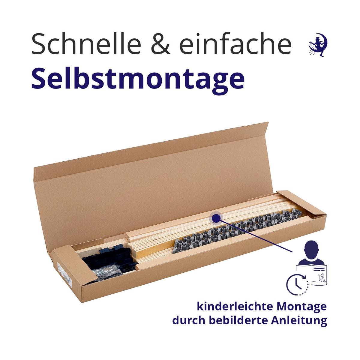 LATTENROST 7-Zonen DreamBase 80x200 cm – stabiler Holzlattenrost mit Federleisten für optimale Matratzenunterstützung - Eschefarben/Buchefarben, Holz (80/200cm) - Mister Sandman