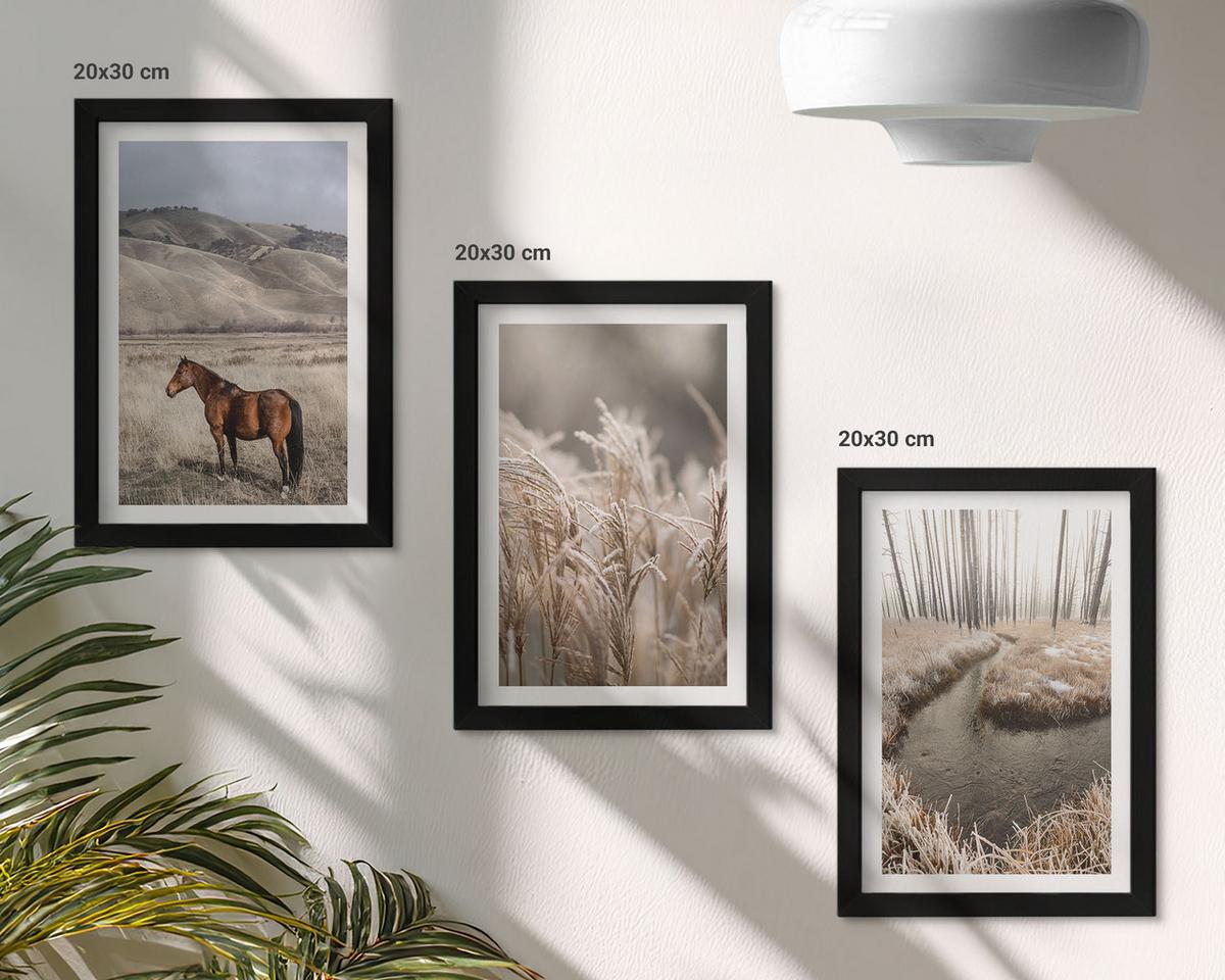 BILDER SET 3er Set - 20x30 cm Schwarzer Rahmen - Pferde, Landschaft, Gras, Bach - Schwarz, Kunststoff (20/30cm) - TULUP