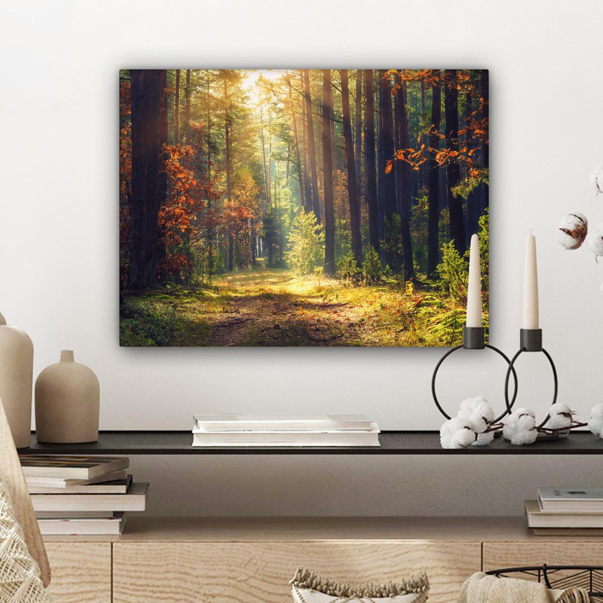 LEINWANDBILD Wald - Herbst - Bäume Wandbild 40x30 cm - Dunkelgrün, Textil (40/30cm) - MuchoWow
