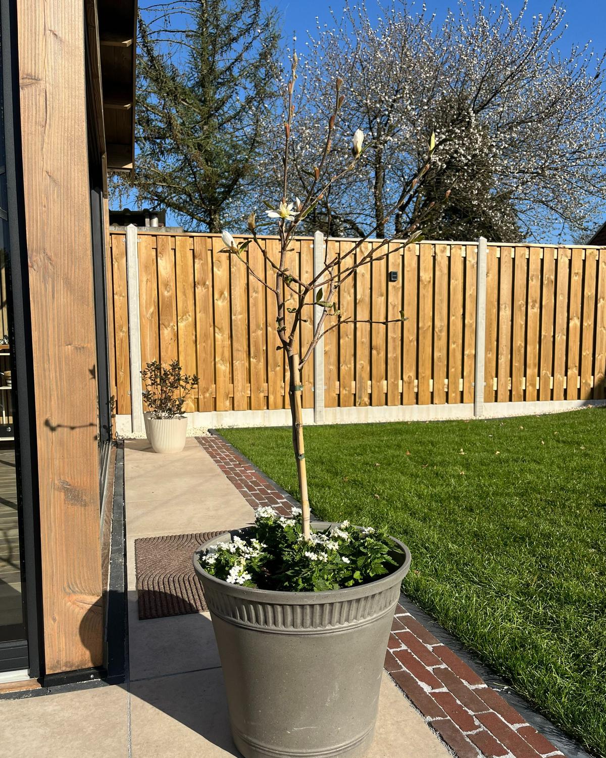 BLUMENKÜBEL Grau Cistus - Grau, Kunststoff (38cm) - Beliani