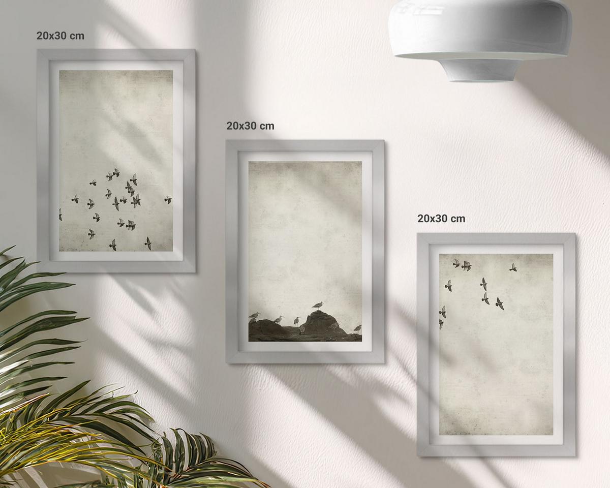 BILDER SET 3er Set - 20x30 cm Silberner Rahmen - Vögel im Flug, minimalistischer Stil - Silberfarben, Kunststoff (20/30cm) - TULUP