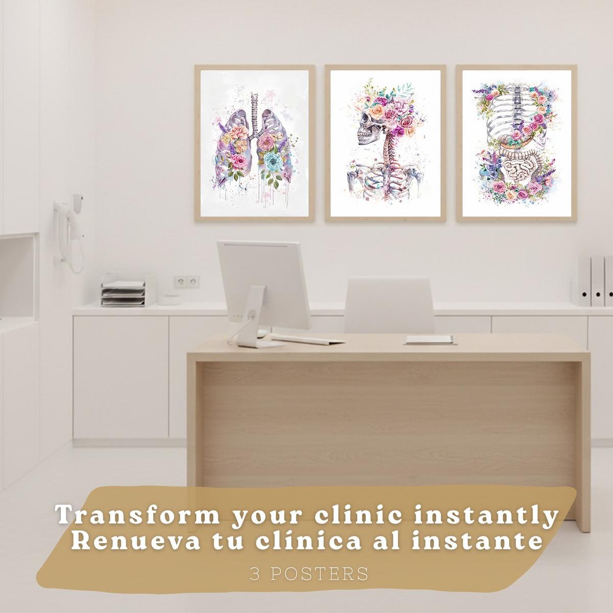 POSTER Set aus 3 Anatomie Drucke mit Skelett Schädel Wirbelsäule Rippen Lungen und Verdauungssystem Künstlerischer Größe Leichter Holzrahmen A3 - Beige, Papier (29.7/42/3cm) - Nacnic