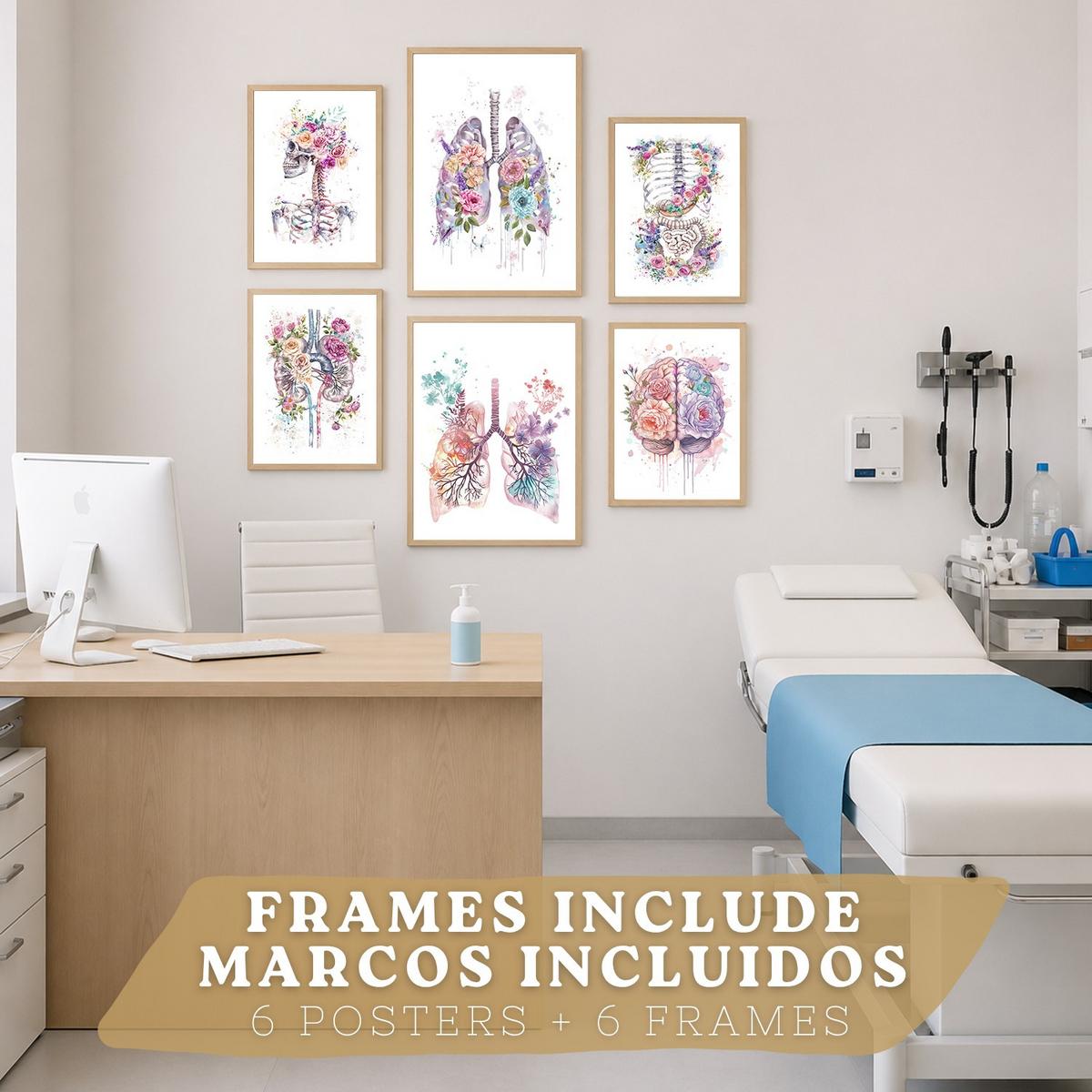 POSTER Set aus 6 Anatomie Mensch Florale Aquarell Drucke und mit Gehirn Lungen Skelett Nieren und Organen Botanische Größe Leichter Holzrahmen A3 & A4 - Beige, Papier (29.7/42/3cm) - Nacnic