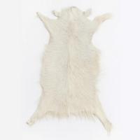 FELL Ziegenfell Eher Hell Naturfarben Teppich ca. 90 cm 1.Wahl - Hellgrau/Weiß, Fell (50/90cm) - Provellus