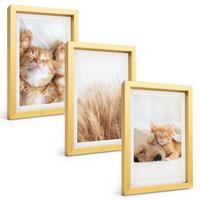 BILDER SET 3er Set - 20x30 cm Goldrahmen - Niedliche Tiere, Katzen, Hunde, Boho-Stil - Goldfarben, Kunststoff (20/30cm) - TULUP