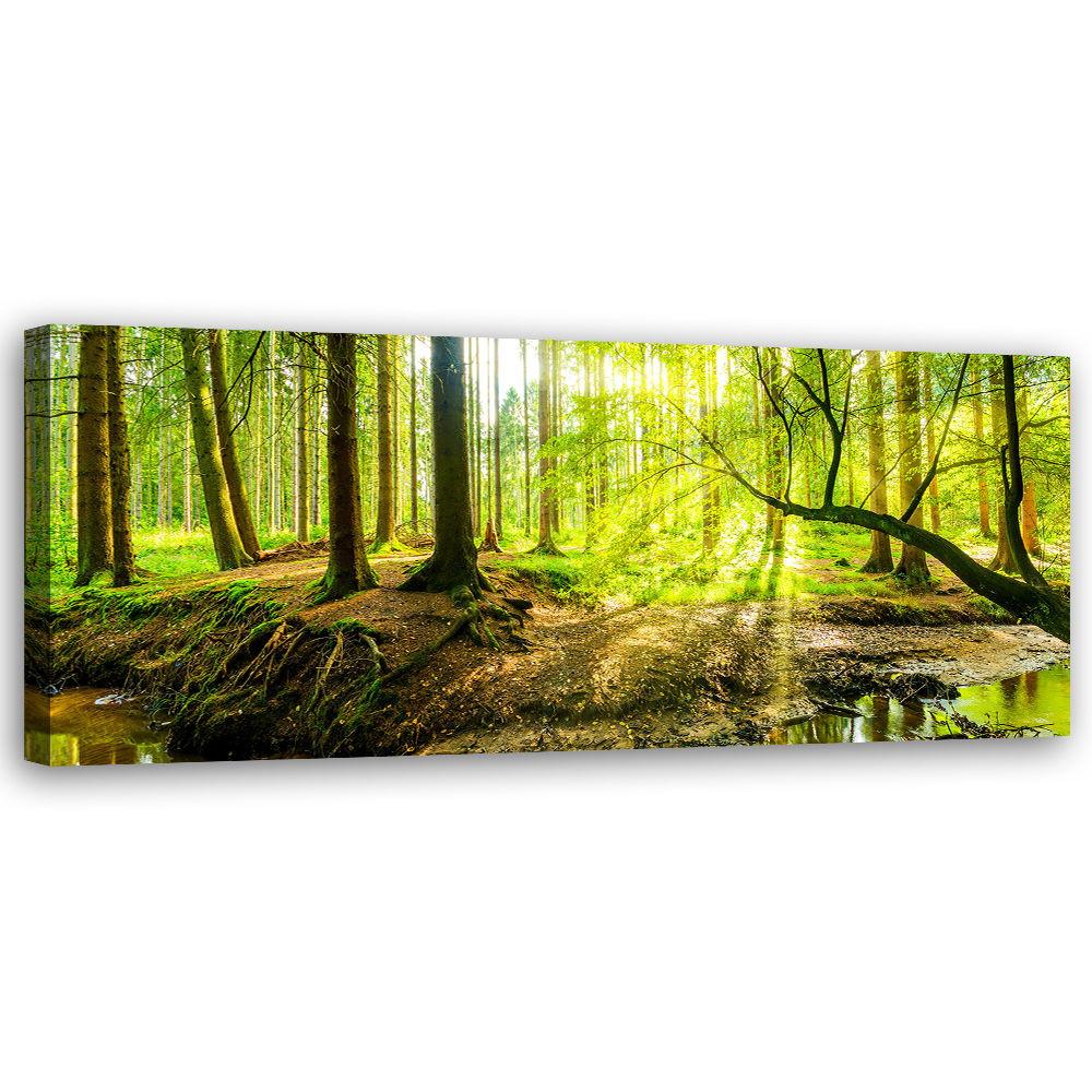 KUNSTDRUCK Grün 120/40 cm - Grün, Textil (120/40cm) - KUNSTLOFT