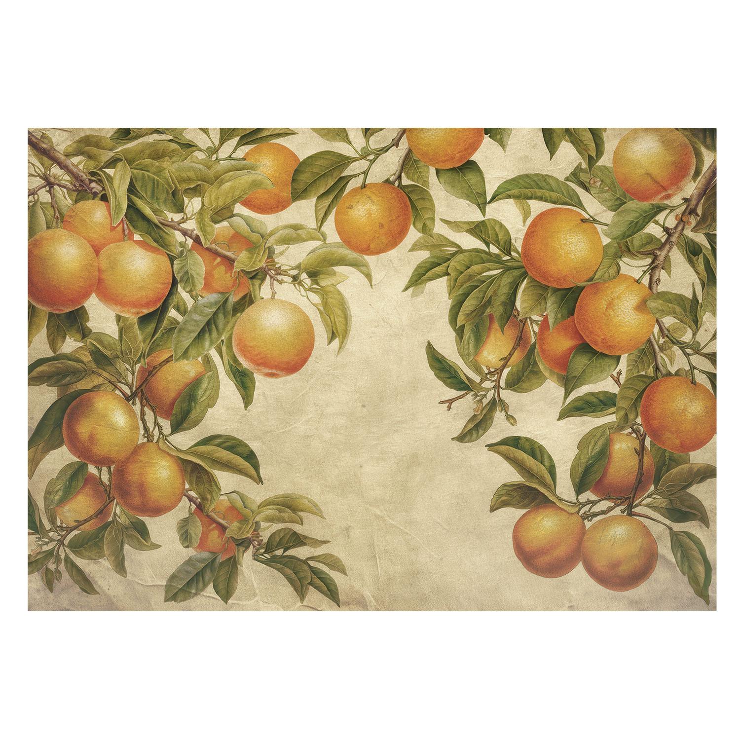 FOTOTAPETE 208x146 cm - Fruchtzweige - Grün, Textil (208/146cm) - Wallfluent