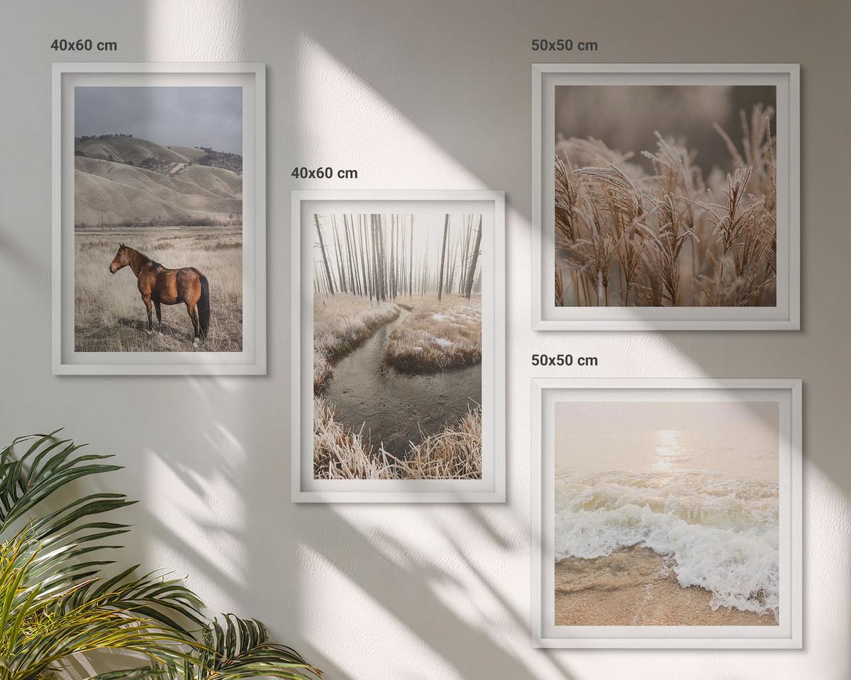 BILDER SET 4er Set - 50x50 cm & 40x60 cm Weißer Rahmen - Pferdelandschaft Seegraswald - Weiß, Kunststoff (50/50cm) - TULUP