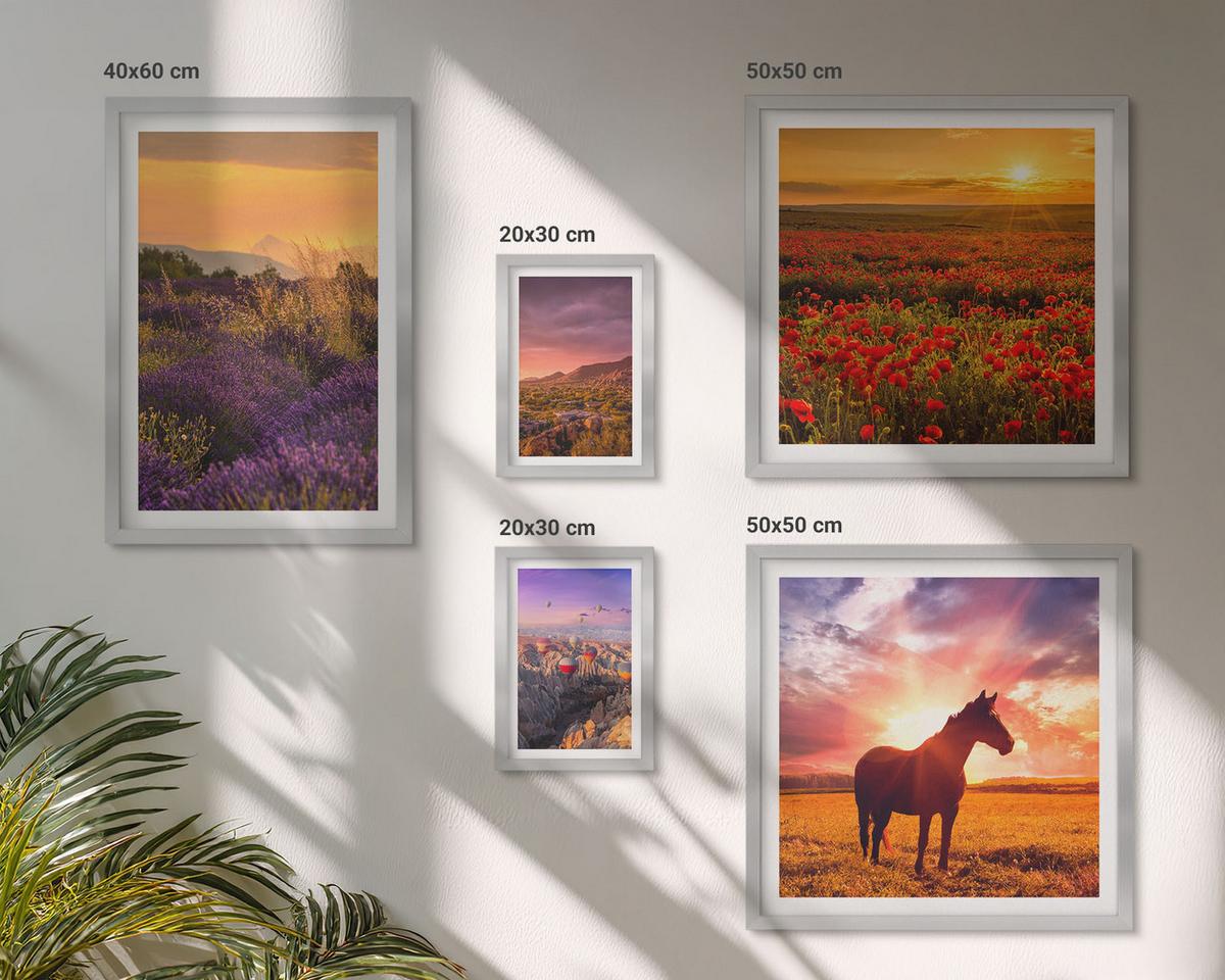 BILDER SET 5er Set - 50x50 cm & 20x30 cm & 40x60 cm Silberner Rahmen - Berglandschaft Rosslavendel - Silberfarben, Kunststoff (40/60cm) - TULUP