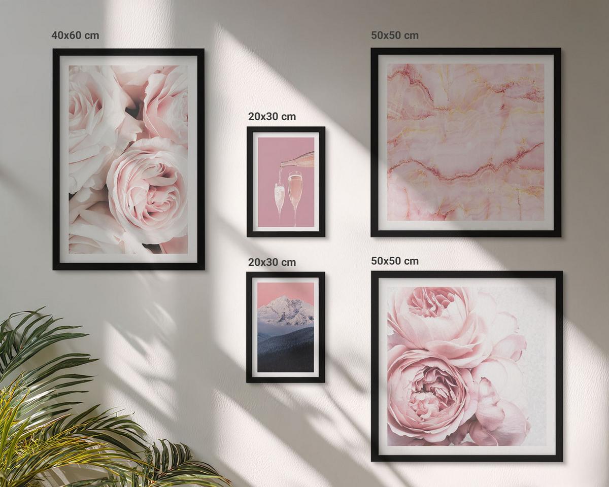 BILDER SET 5er Set - 50x50 cm & 20x30 cm & 40x60 cm Schwarzer Rahmen - Eiffels Porträt einer Frau mit Rosen - Schwarz, Kunststoff (40/60cm) - TULUP