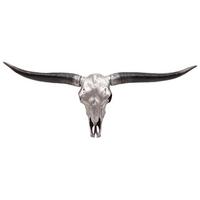 DEKO SCHÄDEL STIER Silbergrau - Grau, Stein (132/56/15cm) - MCW