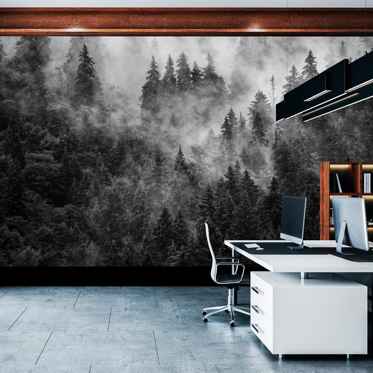 FOTOTAPETE für Wohnzimmer Dichter Nebel Forst Bäume 450x315 - Schwarz/Weiß, Papier (450/315cm) - Muralo