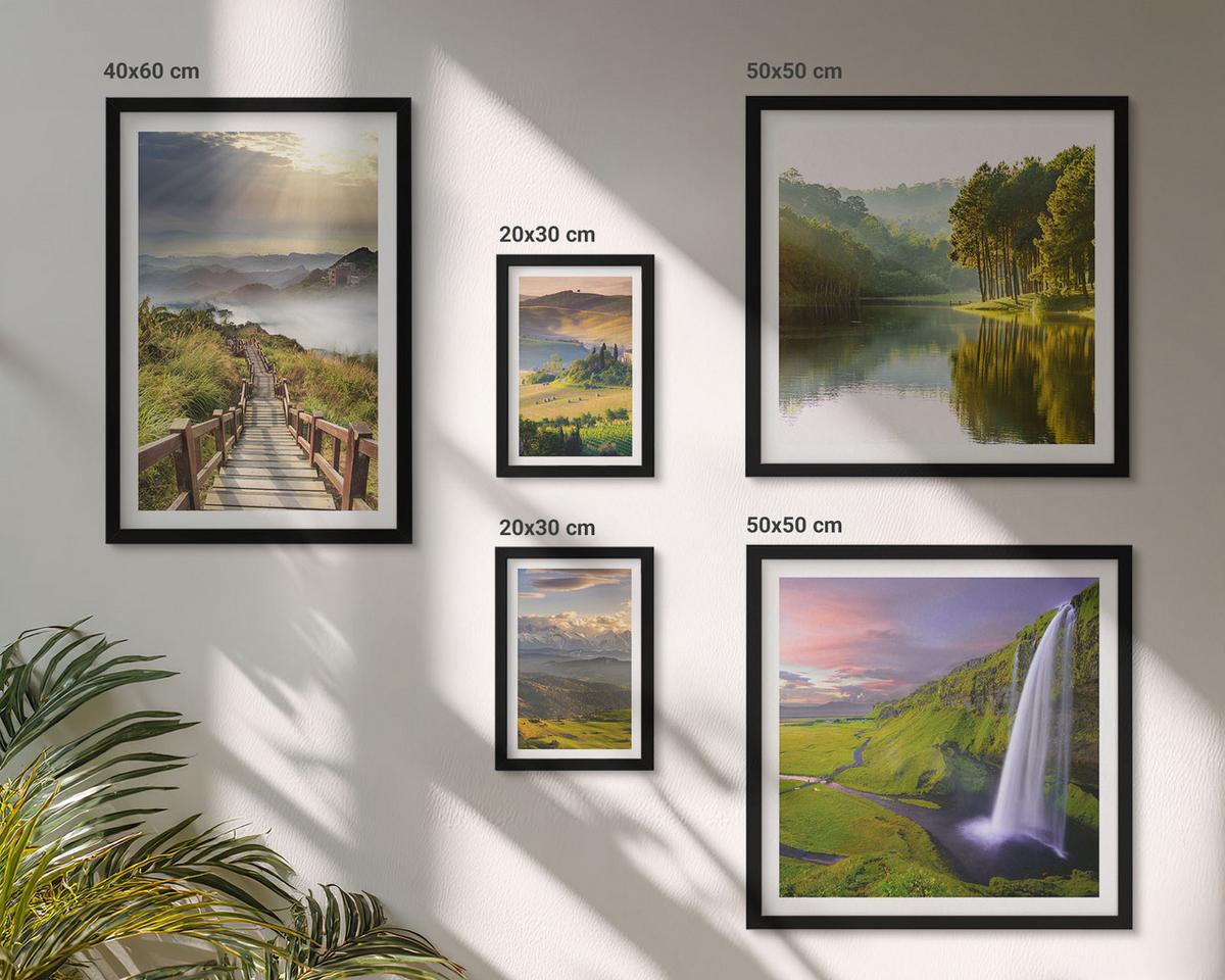 BILDER SET 5er Set - 50x50 cm & 20x30 cm & 40x60 cm Schwarzer Rahmen - Aquarell von grünen tropischen Blättern - Schwarz, Kunststoff (40/60cm) - TULUP