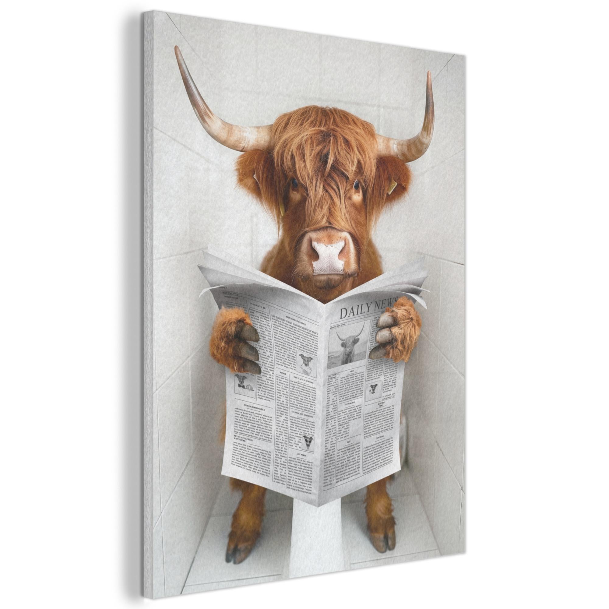 AKUSTIKBILD Schottischer Highlander - Tier - Zeitung - Toilette Wandbilder 60x80 cm - Kastanienfarben, Kunststoff (60/80/0.9cm) - MuchoWow