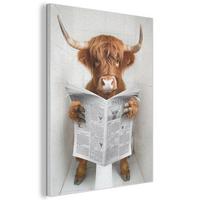 AKUSTIKBILD Schottischer Highlander - Tier - Zeitung - Toilette Wandbilder 60x80 cm - Kastanienfarben, Kunststoff (60/80/0.9cm) - MuchoWow