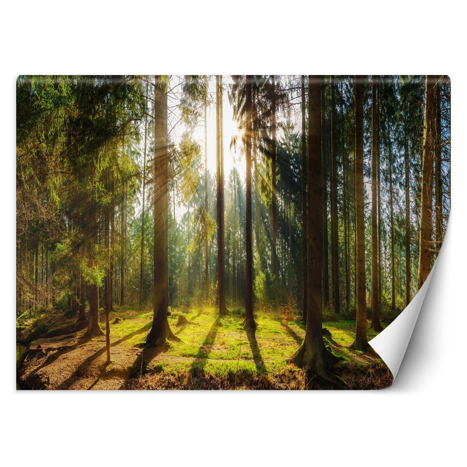 VLIESTAPETE Grün 150/105 cm - Grün, Papier (150/105cm) - KUNSTLOFT