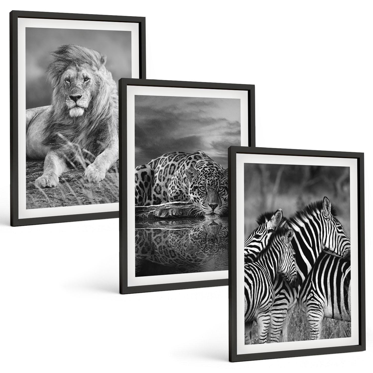 BILDER SET 3er Set - 40x60 cm Schwarzer Rahmen - Wildtiere der Savanne - Schwarz, Kunststoff (40/60cm) - TULUP