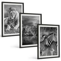 BILDER SET 3er Set - 40x60 cm Schwarzer Rahmen - Wildtiere der Savanne - Schwarz, Kunststoff (40/60cm) - TULUP