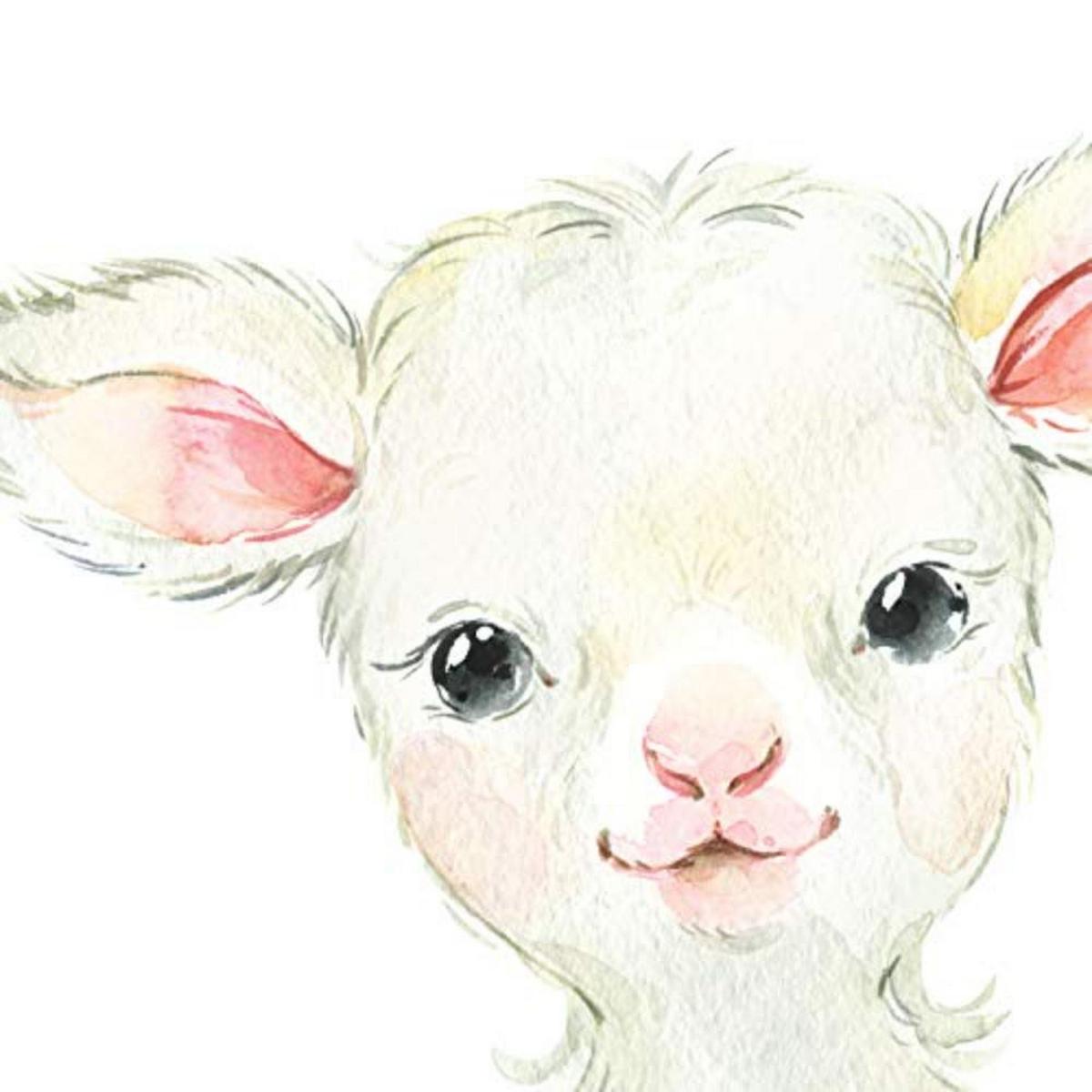 POSTER Set mit 4 Schwein Ziege Igel Esel A4 Rahmenlos - Klar, Papier (29.7/3cm) - Nacnic