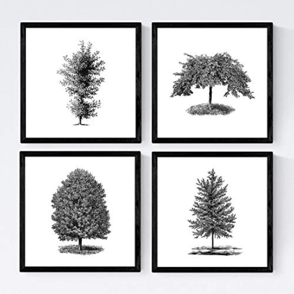 POSTER Set mit 4 Bädern Zierbäume weißer Hintergrund 20x20cm Schwarzer Rahmen - Schwarz, Papier (20/3cm) - Nacnic