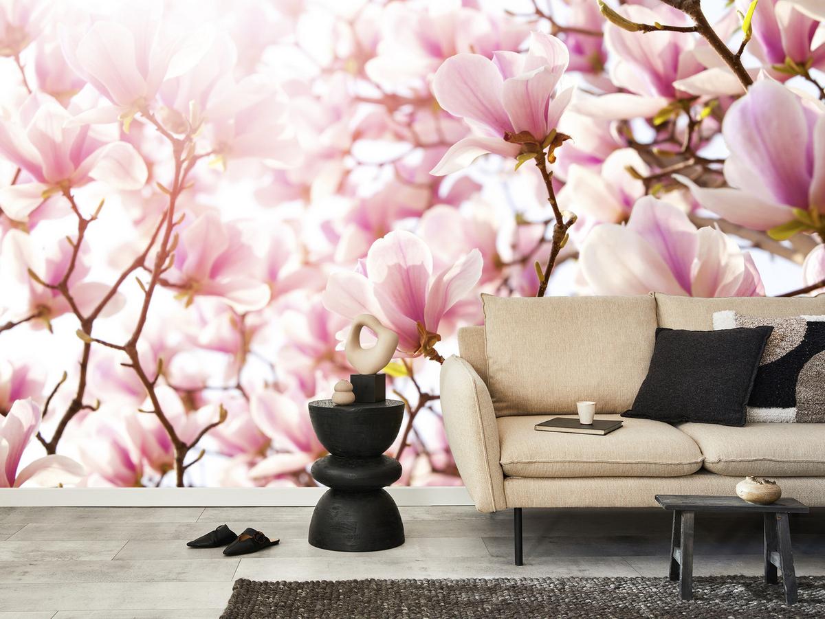 FOTOTAPETE für Schlafzimmer Rosa Magnolienblüten Floral Delikat 450x315 - Violett/Rosa, Papier (450/315cm) - Muralo