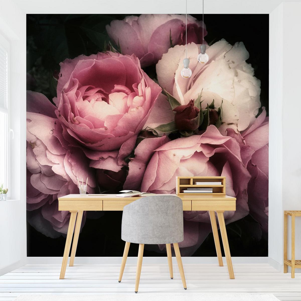 FOTOTAPETE Pfingstrosen vor Schwarz Shabby 192/192 cm - Rosa, Papier (192/192cm) - Bilderwelten