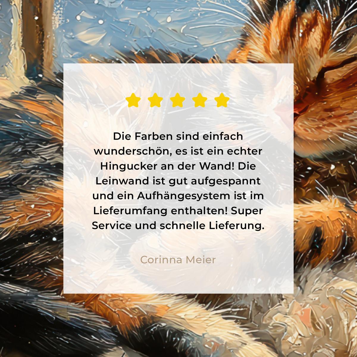 LEINWANDBILD Katze - Weihnachten - Winter - Tier Deko Groß 90x90 cm - Bernsteinfarben, Textil (90/90cm) - MuchoWow