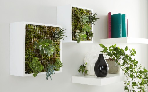 hb_0317_indoorgardening