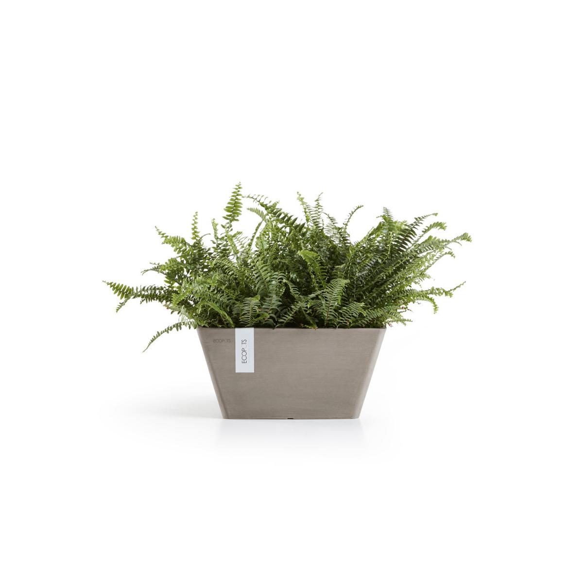 BLUMENTOPF Berlin 41/41/18 cm Taupe - Taupe, Kunststoff (41/18cm) - Ecopots