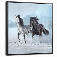LEINWAND Bilder mit Rahmen - Pferde - Winter - Tiere - Natur - Schnee - 50x50 - Anthrazit, Textil (50/50cm) - MuchoWow