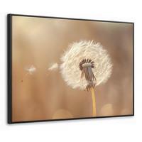 LEINWAND Bilder mit Rahmen - Löwenzahn - Beige - Natur - Blume - 100x70 - Hellbraun, Textil (100/70cm) - MuchoWow