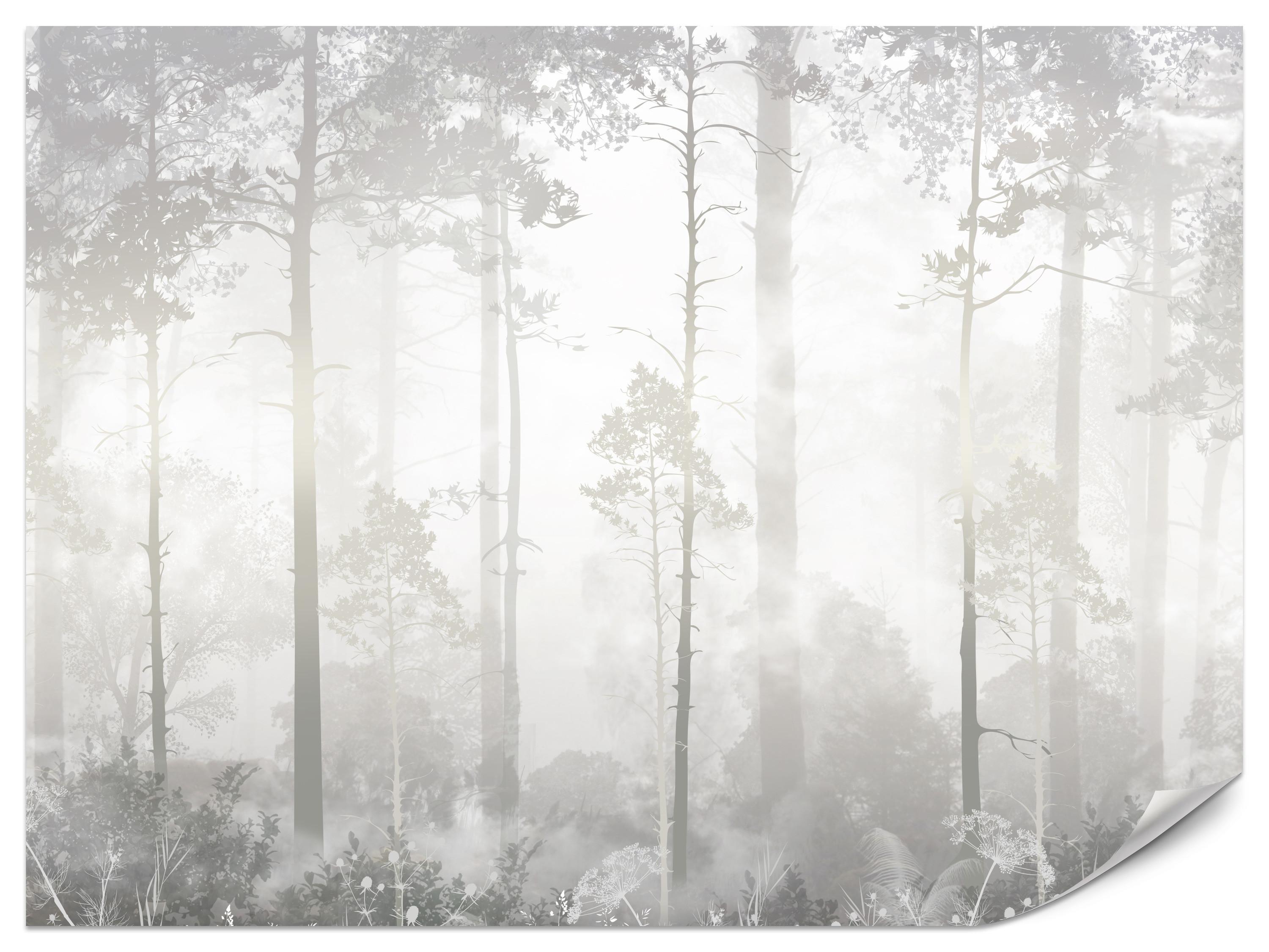 FOTOTAPETE für Schlafzimmer Nebliger Wald Bäume Sträucher Mystik 200x140 - Beige/Weiß, Papier (200/140cm) - Muralo