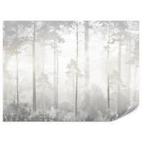FOTOTAPETE für Schlafzimmer Nebliger Wald Bäume Sträucher Mystik 200x140 - Beige/Weiß, Papier (200/140cm) - Muralo