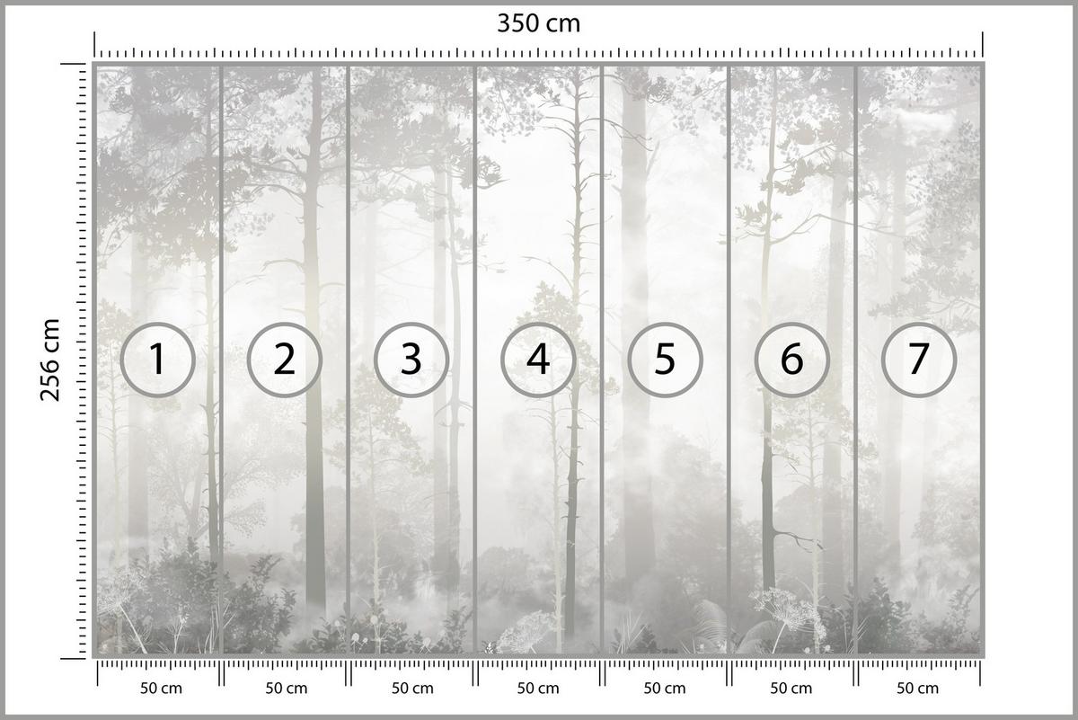 FOTOTAPETE für Schlafzimmer Nebliger Wald Bäume Sträucher Mystik 350x256 - Beige/Weiß, Papier (350/256cm) - Muralo