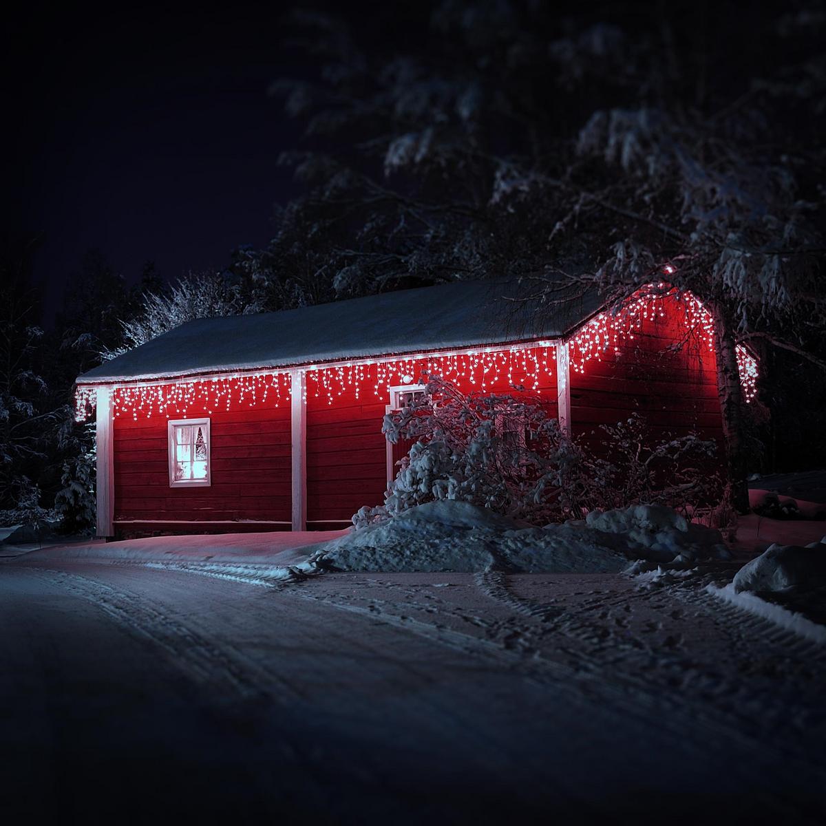 LICHTERKETTE Vorhang 600 cm mit 180 LED Kaltweiß - Grün, Kunststoff (600cm) - ECD-Germany