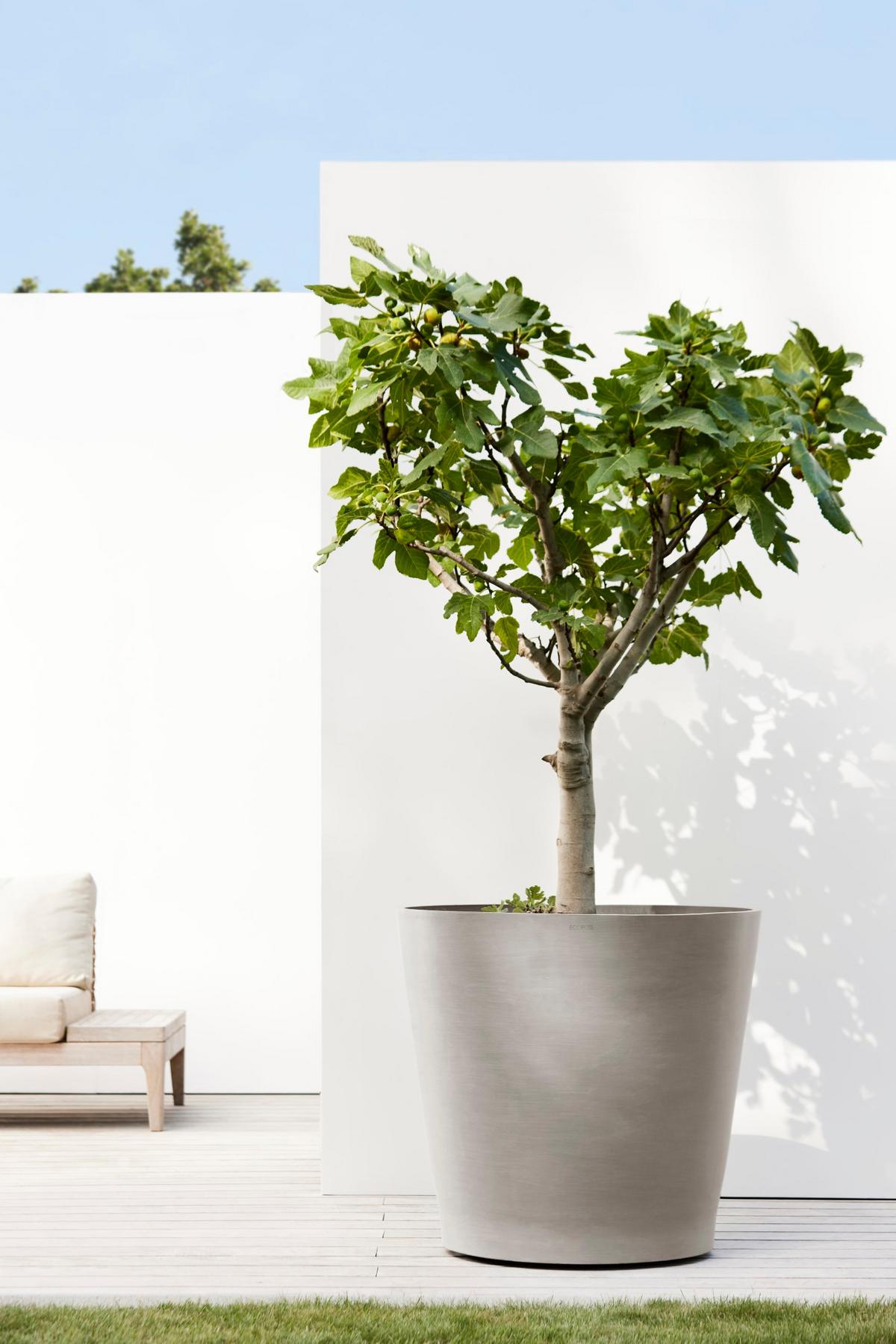 BLUMENTOPF Amsterdam Wheels 80/74,2 cm Taupe - Taupe, Kunststoff (80/74.2cm) - Ecopots