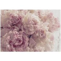 FOTOTAPETE Blumen Schlafzimmer 150x105 - Multicolor, Papier (150/105cm) - Wallarena