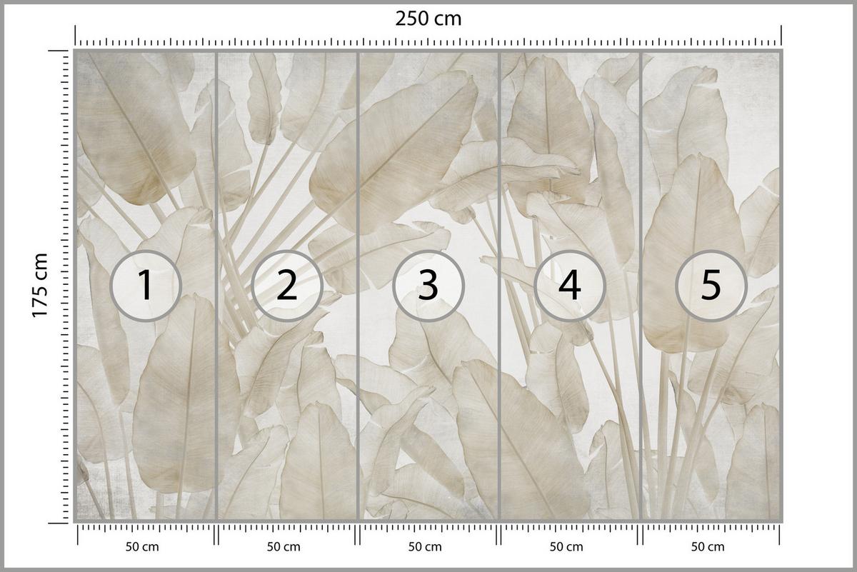 FOTOTAPETE Beige Bananenblätter Tropische Pflanzen 250x175 - Beige/Braun, Papier (250/175cm) - Muralo
