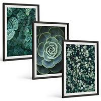 BILDER SET 3er Set - 40x60 cm Schwarzer Rahmen - Sukkulenten - Schwarz, Kunststoff (40/60cm) - TULUP
