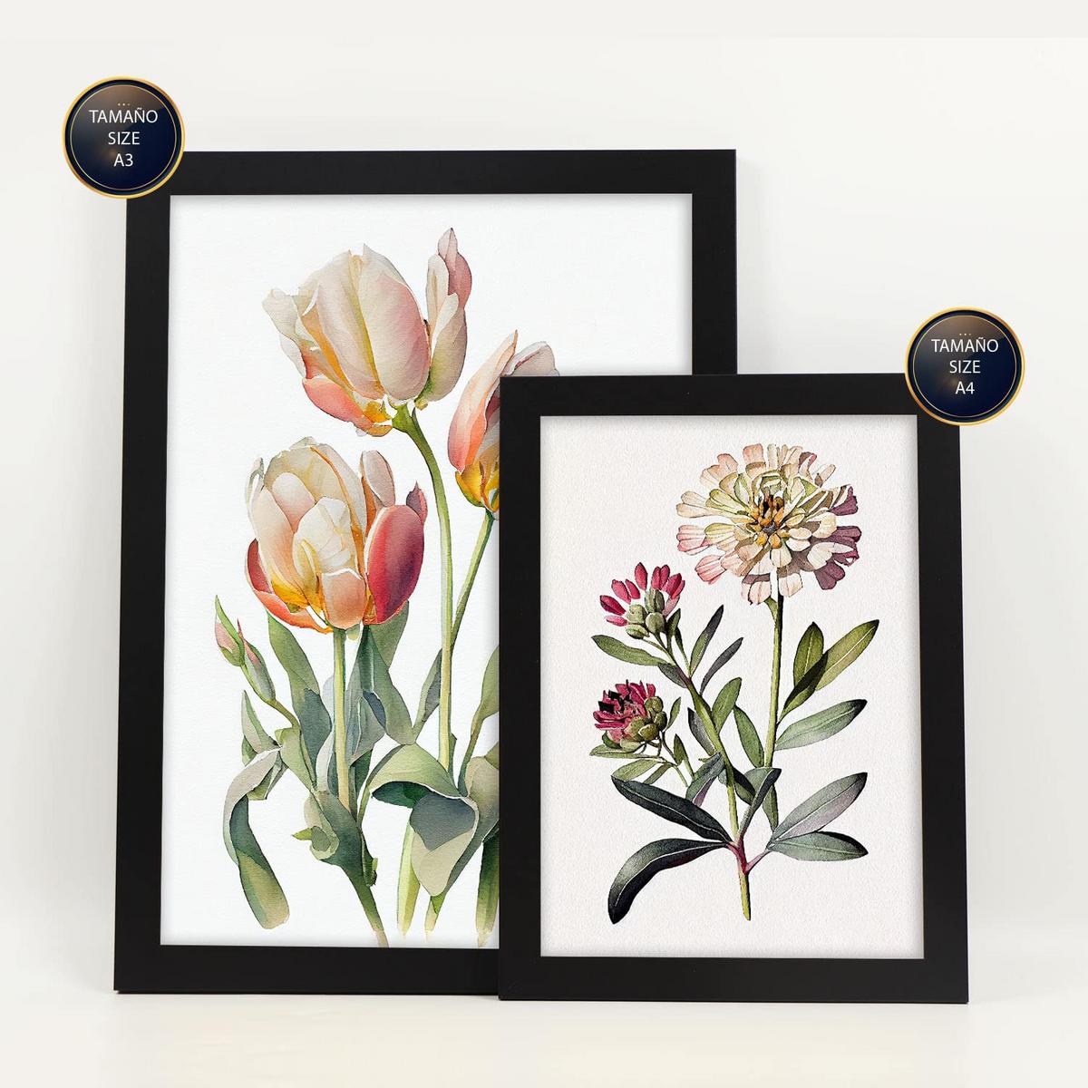 POSTER Set Mit 6 Pastellblumen Vollfarbige Natur Und Botanikdrucke Mit Blumenmotiven Auf Reinweißen Hintergründen A3 & A4 Schwarzer Rahmen - Schwarz, Papier (29/3cm) - Nacnic