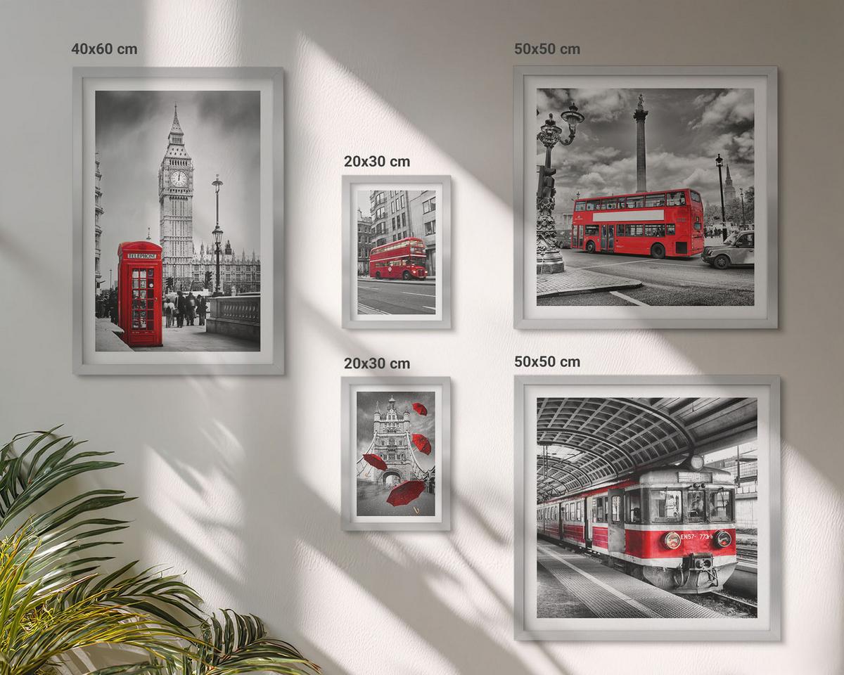 BILDER SET 5er Set - 50x50 cm & 20x30 cm & 40x60 cm Silberner Rahmen - Tropischer Wald Papageienwasserfall - Silberfarben, Kunststoff (40/60cm) - TULUP