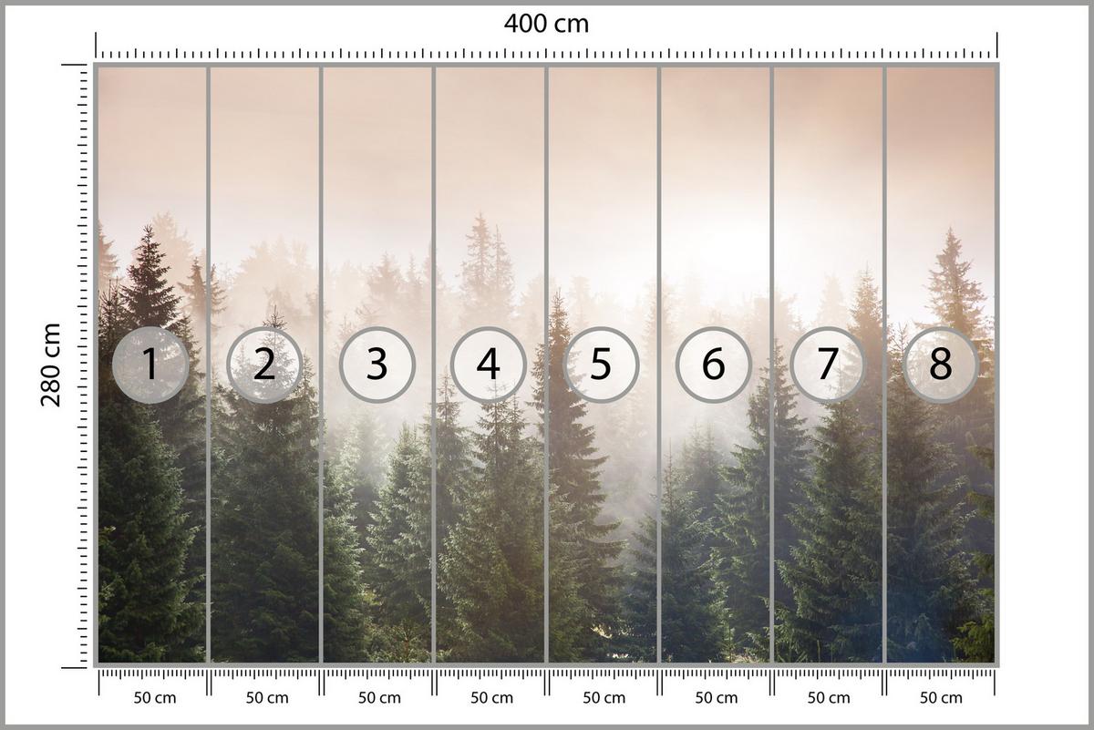 FOTOTAPETE für Wohnzimmer Nadelwald Bäume im Nebel Mystisch 400x280 - Orange/Braun, Papier (400/280cm) - Muralo