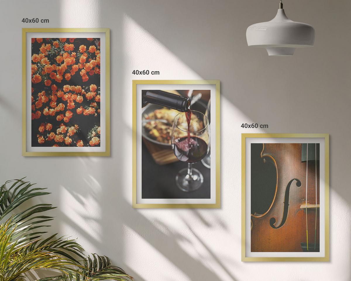 BILDER SET 3er Set - 40x60 cm Goldrahmen - Vintage Blumen Wein Geige - Goldfarben, Kunststoff (40/60cm) - TULUP
