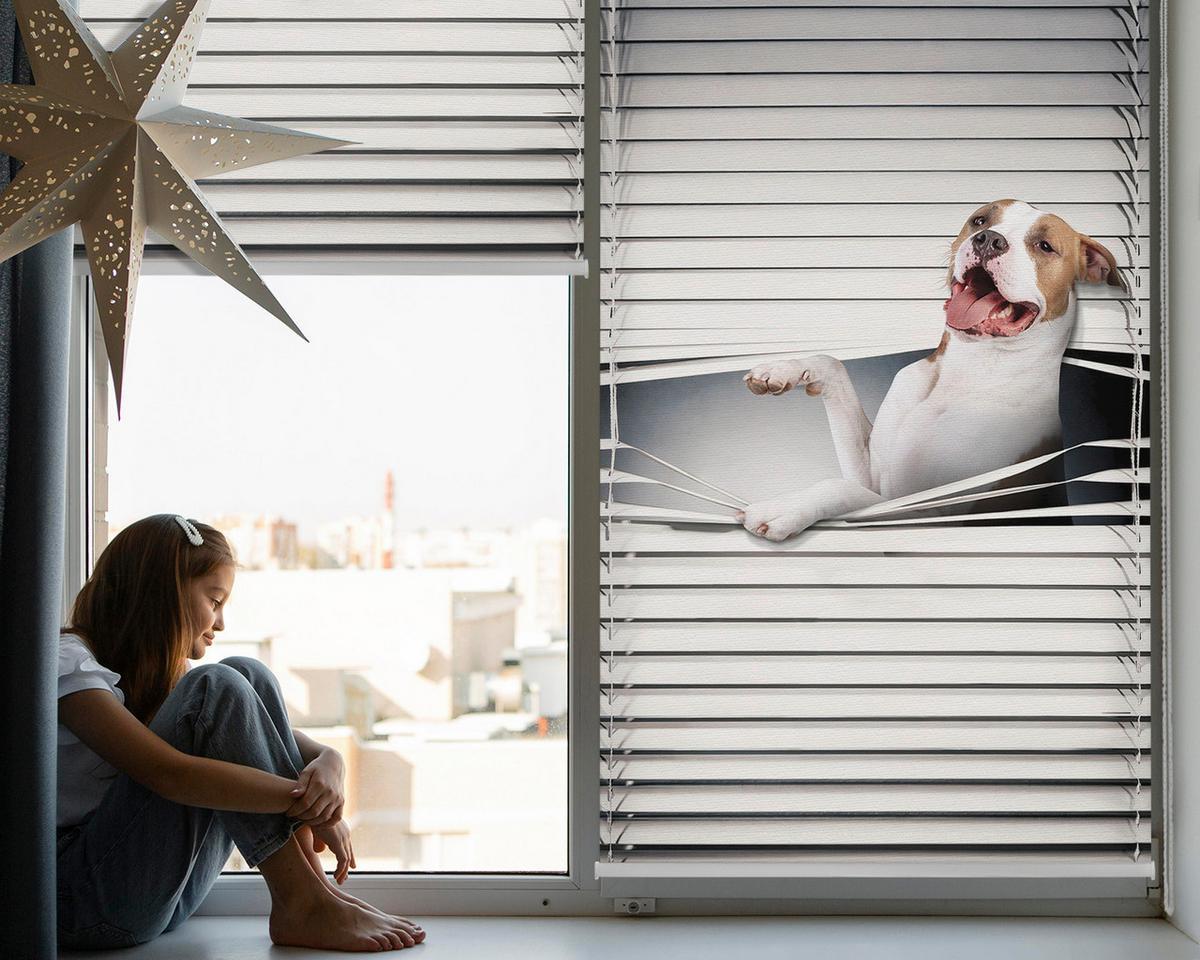 INNENROLLO - Fensterrollo - Rollo - 150x180 cm - Hund - Grau, Kunststoff (150/180/0.5cm) - TULUP