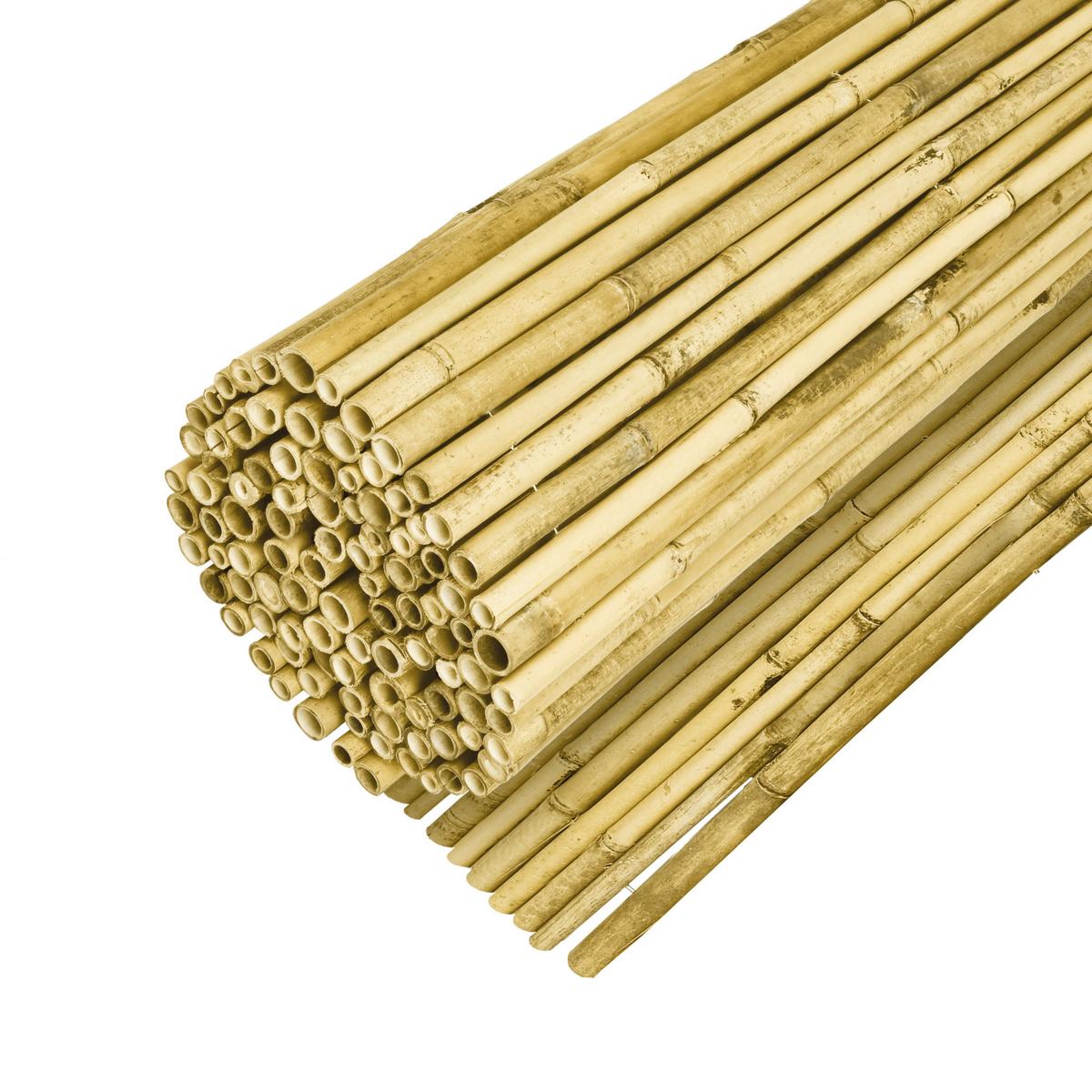 SICHTSCHUTZZAUN SolVision B89 120/250 cm Bambus Hell - Weiß, Naturmaterialien (250/120cm) - Sol Royal