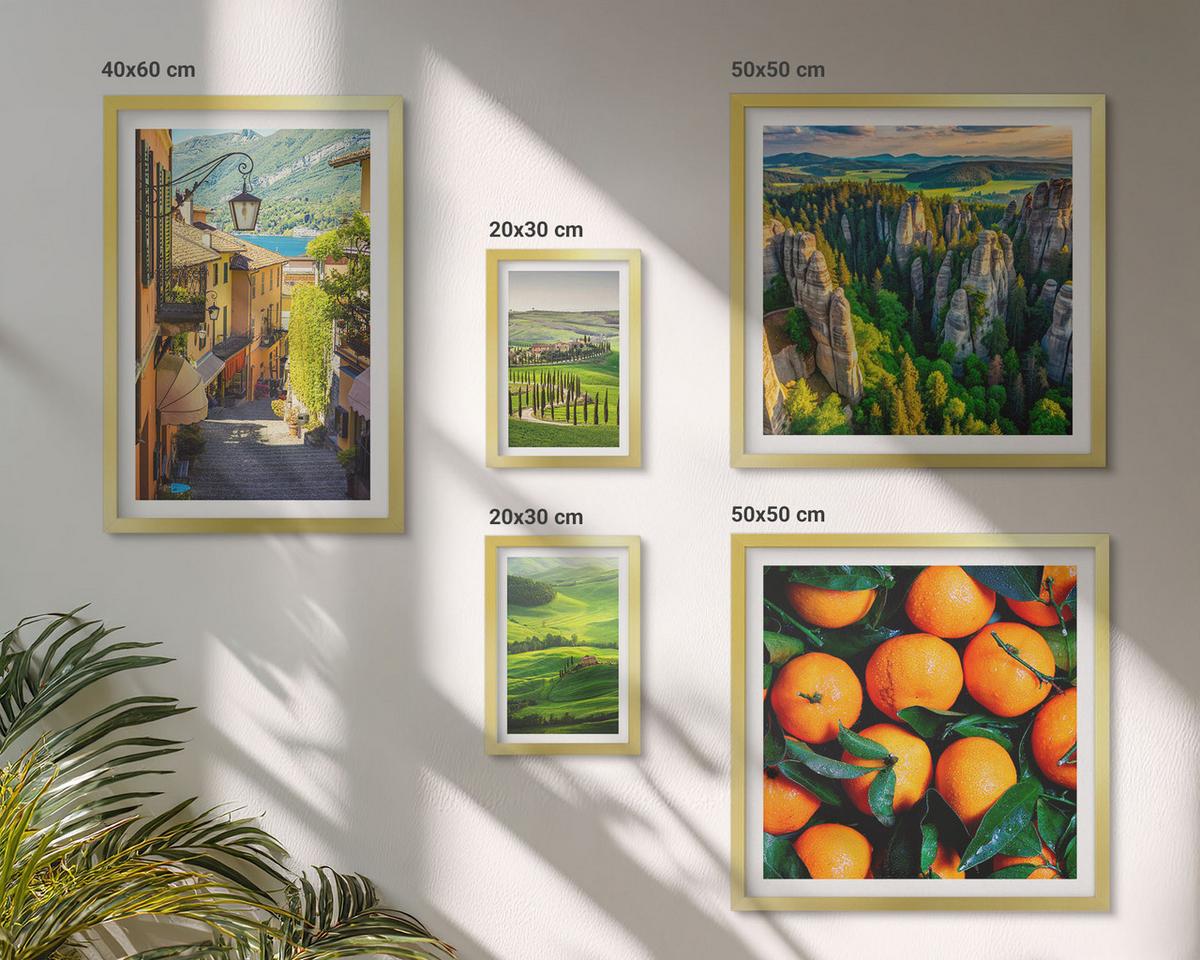BILDER SET 5er Set - 50x50 cm & 20x30 cm & 40x60 cm Goldrahmen - Italienische Landschaft Orangen Natur - Goldfarben, Kunststoff (40/60cm) - TULUP