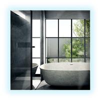 LED-SPIEGEL 50x50 cm Rechteckig Kaltweiß 6000K - Transparent, Glas (50/50/0.4cm) - Wallfluent
