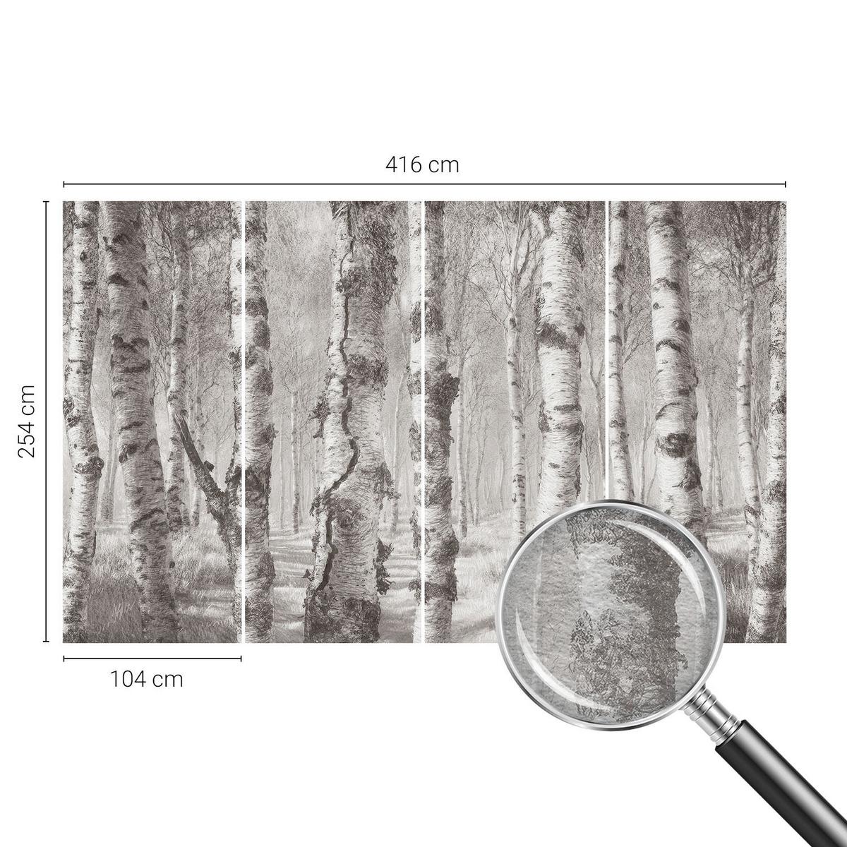 FOTOTAPETE 416x254 cm - Birkenwald - Schwarz, Textil (416/254cm) - Wallfluent
